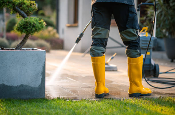 Best Roof Power Washing Services  in Cold Spring, NY